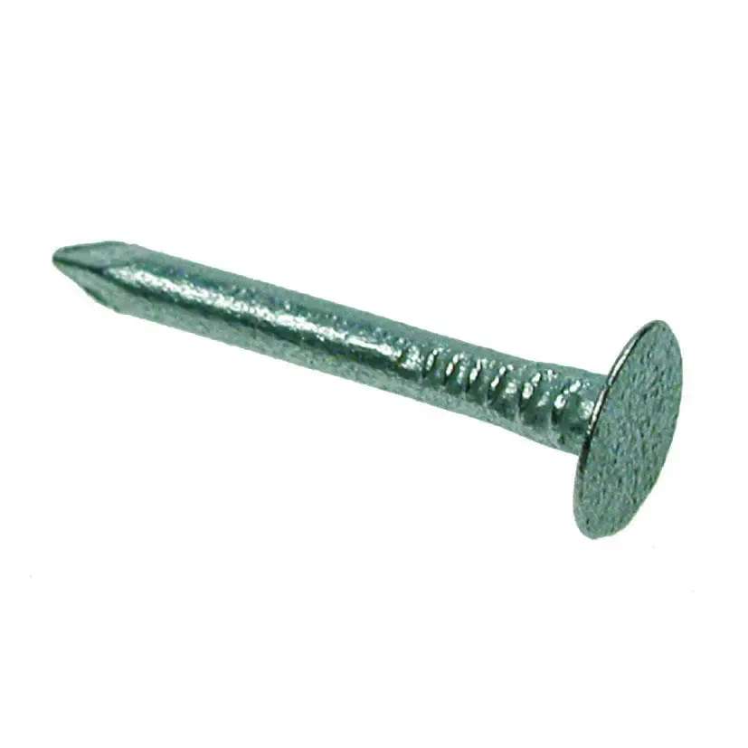Extra Large Head Clout Nail, 30mm, Galvanised, 1/2kg