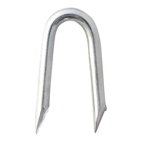 Galvanised Presser Point Staples of 40 X 4mm Size - 1KG Package